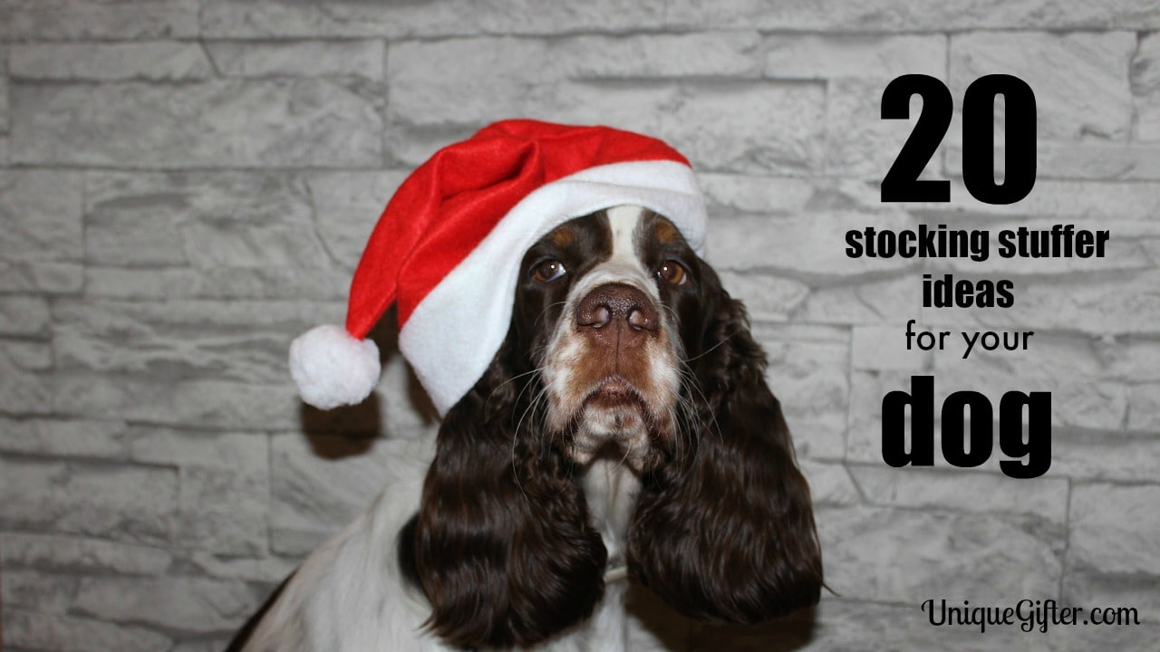 20 Stocking Stuffer Ideas for your Dog - Unique Gifter