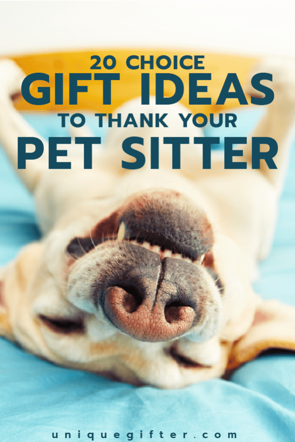 20 Thank You Gifts for Pet Sitters Unique Gifter