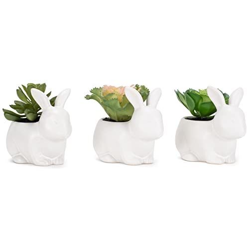 Nat & Jules Bunny White 4.5 inch Ceramic Artificial Potted Succulents Set of 3