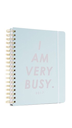 ban.do Design 2016-2017 Large 17 Month Agenda, I Am Very Busy, Ice Blue (60212)