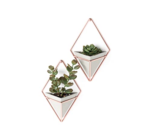 Umbra Trigg Hanging Planter Vase Wall Decor, Set of 2 Pots Containers for Succulents, Cactus, Faux Plants, and More, Small, Grey/Copper