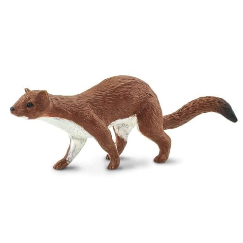 Safari Ltd. Weasel Figurine - Lifelike 3.5' Model Figure - Educational Toy for Boys, Girls, and Kids Ages 3+