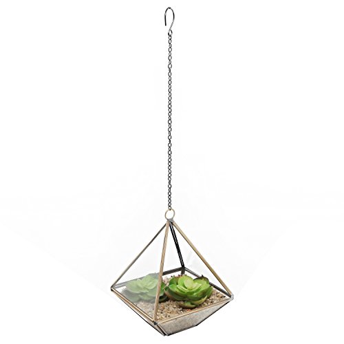 Clear Glass & Brass Tone Metal Faceted Hanging Air Plant Terrarium/Tea Light Candle Holder - MyGift
