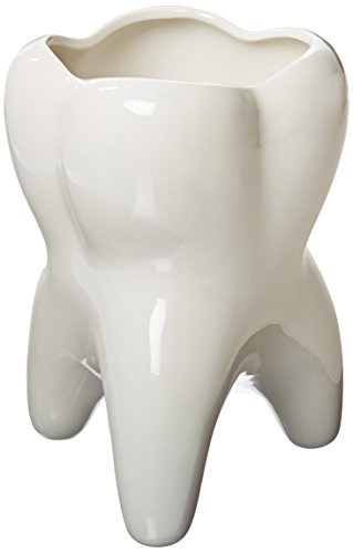 Molar Vase