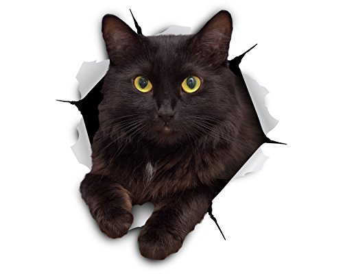 Winston & Bear 3D Cat Stickers - 2 Pack - Black Cat Wall Decals - Cat Wall Stickers for Bedroom - Fridge - Toilet - Car - Retail Packaged