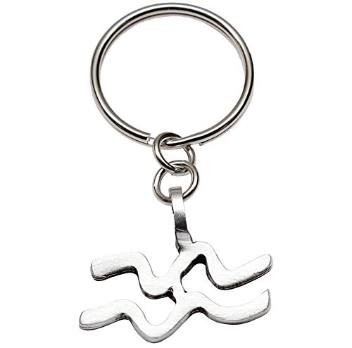 Trilogy Jewelry Aquarius Astrology Zodiac Sign Pewter Keychain The Water Carrier (January 21-February 19 Birthday)