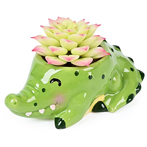 Crocodile Ceramic Succulent Flower Pot with Drainage Hole, Garden Plant Pot, Succulent Plants, Cactus, Home Desk Garden Decoration, Gifts for Mom, Aunts and Colleagues (Plants Not Included)