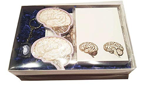 Brain Gift Box Collection 2, 5 Pack for Anatomy, Neurological Students and Professional