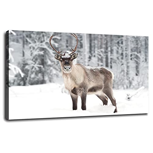 Reindeer Caribou Walking In The Snow (Picture Poster Animal Art) Wall Art Canvas Prints Poster For Home Office Decorations With Framed 42'x24'