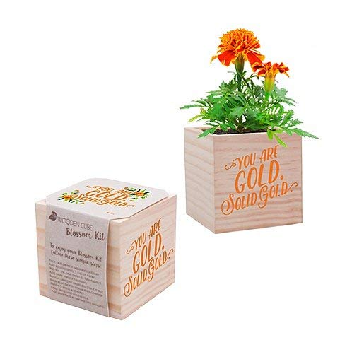 Cheersville Plant Cube Appreciation Gift - includes Marigold Seed Packet, Peat Pellet, and 3-inch Wooden Planter - Employee Teacher Nurse Thank You Gift