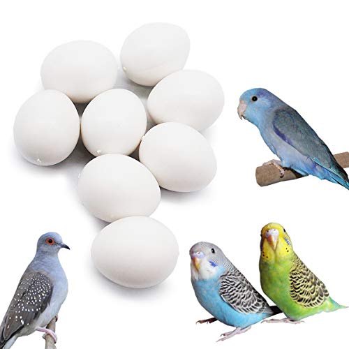 FOIBURELY 8 Pcs Solid Parrot Plastic Eggs Hatching Eggs Parrotlet，Budgie Parakeet，Diamond Dove Trick The Birds to Stop Laying Eggs, Fake Eggs（19mm*16mm）
