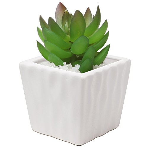 Modern Ribbed Design White Ceramic Succulent Planter, Set of 2