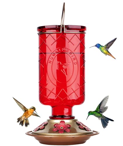 BOLITE Hummingbird Feeder, Glass Hummingbird Feeders for Outdoors Hanging, Five Feeding Ports, 22 Ounces, Red Bottle