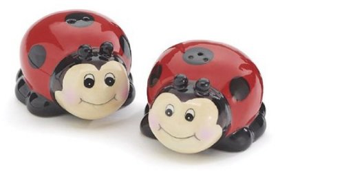 Whimsical Ladybug Lady Bug Salt and Pepper Shaker Set for Kitchen Decor