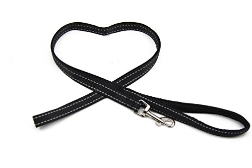 BIG SMILE PAW Reflective Dog Leash for Small Dogs,Padded Handle (Black)