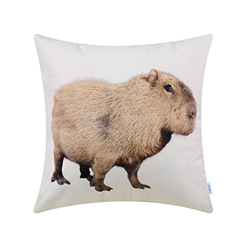 CaliTime Canvas Throw Pillow Cover Shell for Couch Sofa Home Decoration Animals Theme Print 18 X 18 Inches Capybara