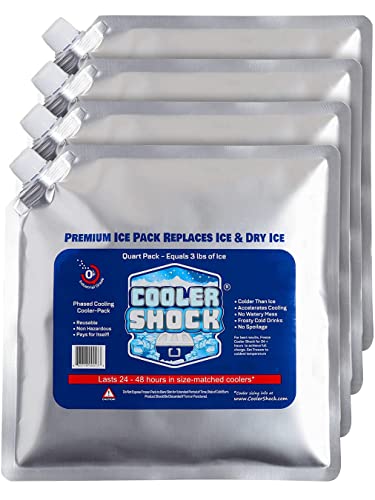 Cooler Shock Ice Packs for Cooler - Long Lasting Reusable Freezer Packs for Coolers - Cooler Ice Packs for Camping Gear, Fishing, Road Trips, Beach Must Haves, Medium