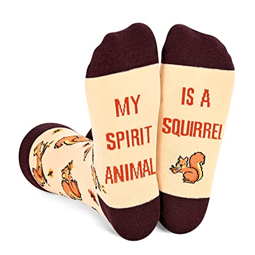 HAPPYPOP Funny Squirrel Gifts for Squirrel Lovers Squirrel Socks, Fun Gifts for Her Him Mom Dad Stocking Stuffers