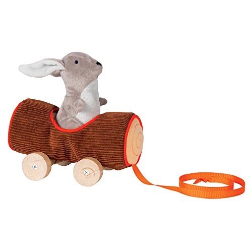 Manhattan Toy Camp Acorn Soft Log and Bunny Baby Pull Toy