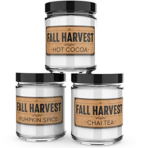 Scented Candles - Fall Harvest - Set of 3: Hot Cocoa, Pumpkin Spice, and Chai Tea - 3 x 4-Ounce Soy Candles - Each Votive Candle is Handmade in The USA with only The Best Fragrance Oils