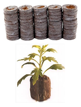 50 Count - Jiffy 7 Peat Pellets - Seed Starter Soil Plugs - 36 mm - Start Seedlings Indoors - Easy to Transplant to Garden