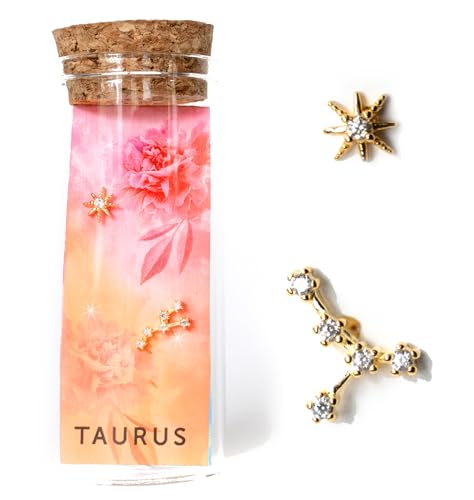 TAURUS Astrology Stud Earring • Zodiac Star Stud Earrings • Birthday Astrology Gift Horoscope Gifts • Gift for Women • Gift for Her (Taurus)