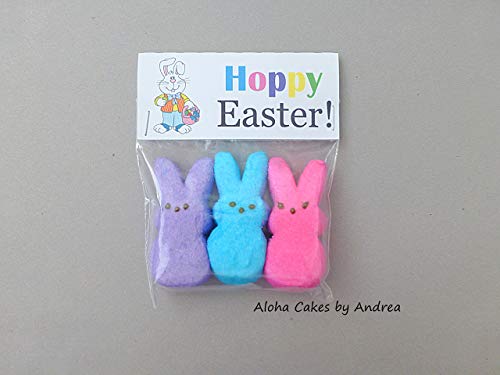 Easter Basket Filler Hoppy Easter Bag Topper Classroom Gift Easter Bunny Easter Party Favor Ideas Kids Easter gift Set of 12 (Candy NOT Included)