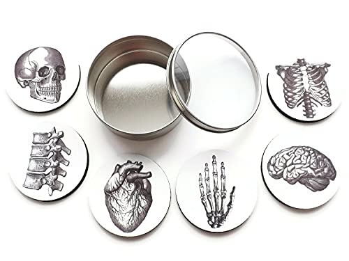 Anatomy Coasters Gift Set of 4 or 6 Flexible Mousepad or Hardboard Brain Skull Anatomical Heart Doctor Nurse Graduation