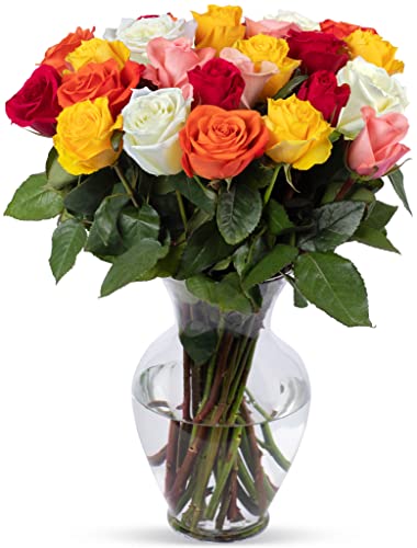 BENCHMARK BOUQUETS - 24 Stem Rainbow Roses (Glass Vase Included), Next-Day Delivery, Gift Fresh Flowers for Birthday, Anniversary, Get Well, Sympathy, Graduation, Congratulations, Thank You