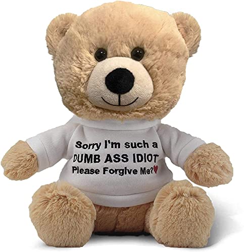 Sorry I'm An Idiot' 10' Teddy Bear with Gift Bag - Cute Funny Apology Plush for Girlfriend, Boyfriend, Best Friend