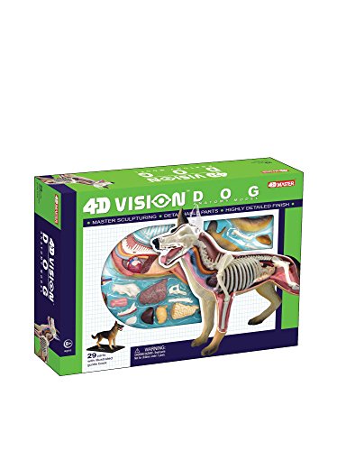 Tedco 4D Vision Dog Anatomy Model