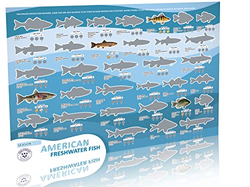 VAULTERIUS American Freshwater Fish Scratch Off Poster