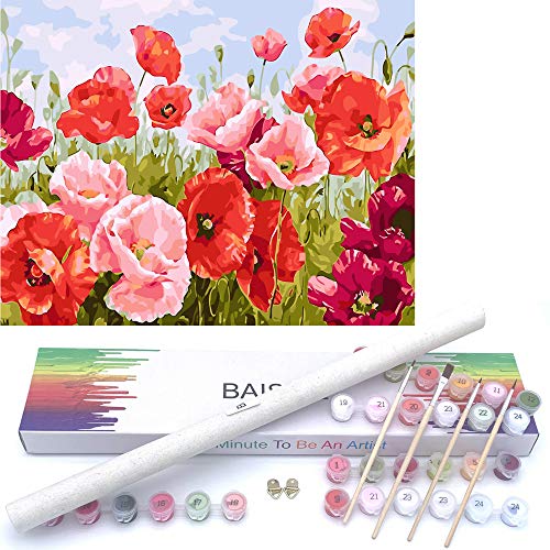 BAISITE Paint by Numbers Kit for Adults Beginners,16' Wx20 L Canvas Pictures Drawing Paintwork with 4 Pcs Wooden Paintbrushes,Acrylic Pigment Poppy Flowers-BSC001