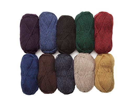 Knit Picks Wool of The Andes 100% Wool Worsted Weight Yarn Pack (10 Balls - Home Décor)
