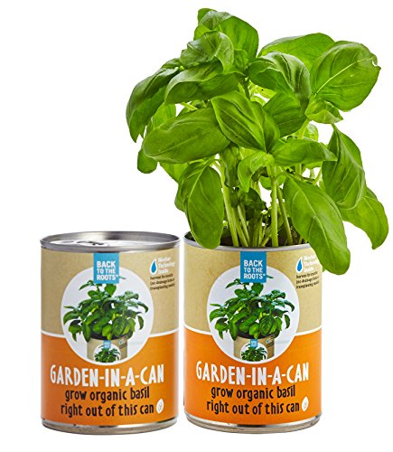 Back to the Roots Garden-in-a-Can, Grow Organic Basil, 2 Count
