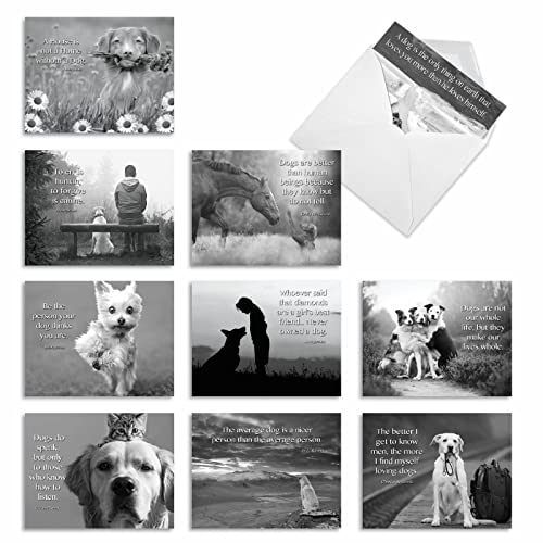 The Best Card Company - 10 Assorted Blank All Occasions Notecards Boxed Set 4 x 5.12 Inch w/Envelopes Dogs Inspirational Quote, Men, Women (10 Designs, 1 Each) - Canine Comments M1623BN