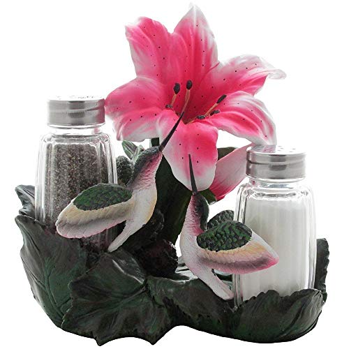 Hummingbirds Glass Salt and Pepper Shaker Set Kitchen Decor with Decorative Holder in Bird Figurines & Hummingbird Sculptures and Floral Gift Ideas