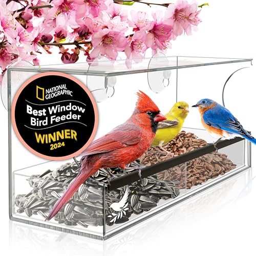 Window Bird Feeder Easy to Use to Attract Birds, Cool and Unusual for Adults who have Everything, Bird Watching Window Bird Feeders with Strong Suction Cups-Large In Window Viewing for Elderly Parents