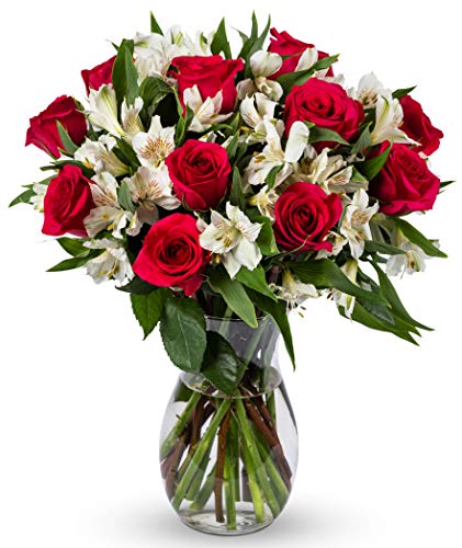 Benchmark Bouquets, Signature Roses & Alstroemeria, Glass Vase Included, Gift Fresh Flowers for Birthday, Anniversary, Get Well, Sympathy, Congratulations, Thank You, Just Because