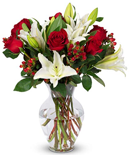 BENCHMARK BOUQUETS - Red Elegance (Glass Vase Included), Next-Day Delivery, Gift Fresh Flowers for Birthday, Anniversary, Get Well, Sympathy, Graduation, Congratulations, Thank You