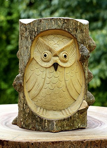 G6 Collection Unique Handmade Wooden Owl from Crocodile Wood Statue Figurine Hoot Sculpture Art Decorative Rustic Home Decor Accent Handcrafted Decoration Owl Crocodile Wood
