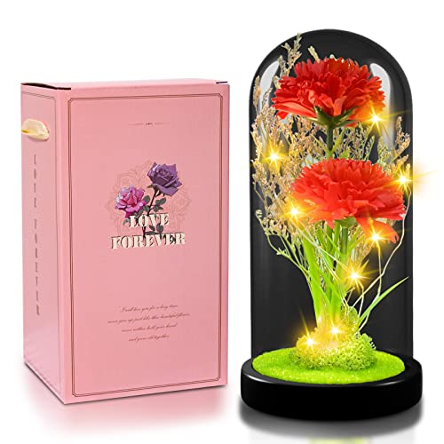 QUELIEN Carnation Flowers Gift, Galaxy Flower Rose Gift for Girlfriend, Light Up Artificial Flowers, Pink Carnation Glass Cover Decoration Gift for Girlfriend (Red)