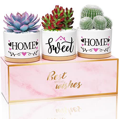 MAYICIVO for Mom, House Warming Gifts New Home for Women Couple, Funny Housewarming Presents for New Home, Home Sweet Home Succulent Pots Indoor Ceramic Plant Pots New Home Gifts