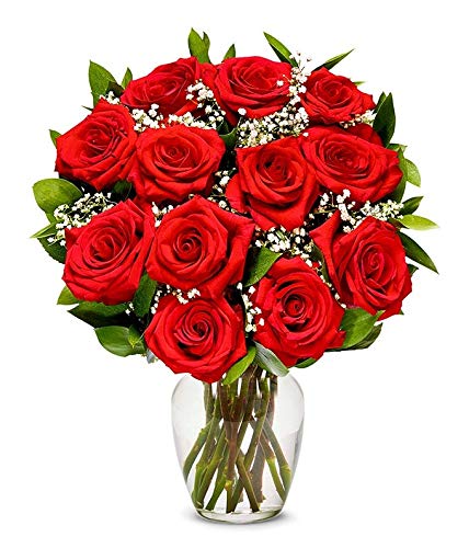 From You Flowers - One Dozen Long Stemmed Red Roses with Glass Vase (Fresh Flower Bouquets) Birthday, Anniversary, Get Well, Sympathy, Congratulations, Thank You