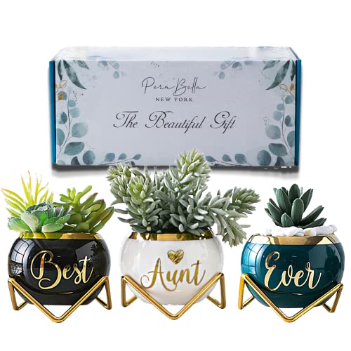 Aunt Gifts, Gifts for Aunt from Niece & Nephew, Best Aunt Ever Gifts, Birthday Gifts for Aunt, Auntie Gifts from Niece Nephew, Great Aunt Gifts, Gardening Gifts for Aunt Unique, 3 Succulent Pots Only