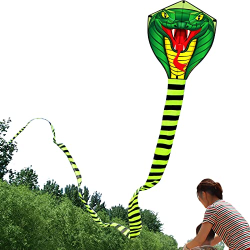 HENGDA KITE for Kids 26.2Ft Large Power Cobra Snake Kites with Flying Line Outdoor Fun Sports Kite