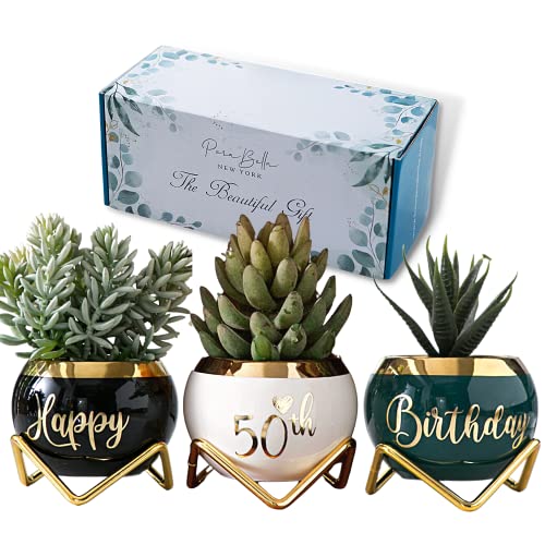 PeraBella 50th Birthday Gift for Women,Ceramic Planter Gift for Mom, Gifts for Grandma from Granddaughter, Niece Gifts from Auntie, Happy 50th Birthday Gifts for Mom, 3 Succulent Pots Home Décor