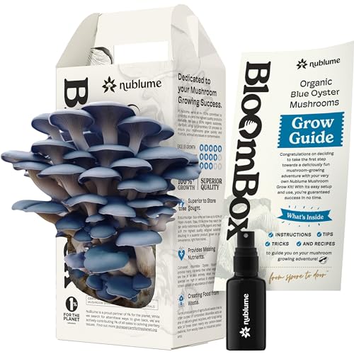 Organic Blue Oyster Mushroom Grow Kit | Grow Your Own Fresh Gourmet Mushrooms at Home | Edible Indoor Mushroom Growing Kits Great Gift for Kids & Adults