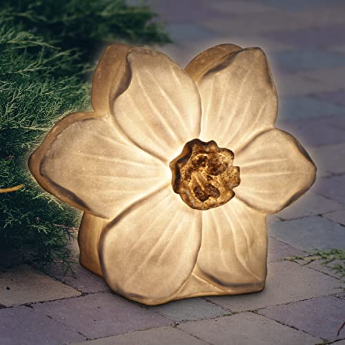 Exhart Solar White Narcissus Flower Garden Light, Durable Resin, LED Accent Garden Light,6'x13'x11”