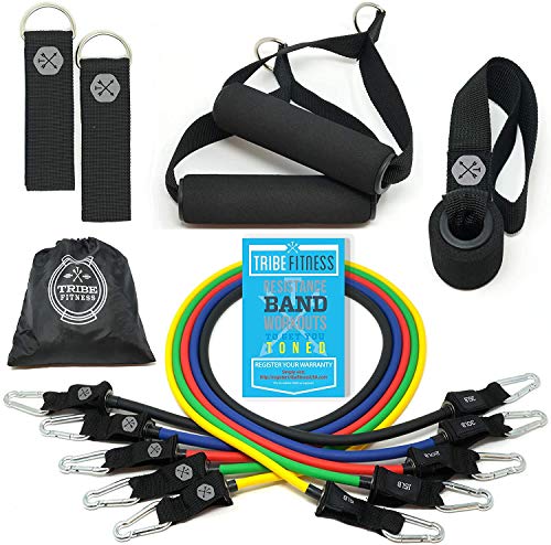 Resistance Bands Set for Men, Women, Exercise & Workout. Fitness Bands for Leg & Bicep Work. Workout Bands for Working Out. Stretch Bands for Physical Therapy. Strength Bands. Elastic Weight Training.
